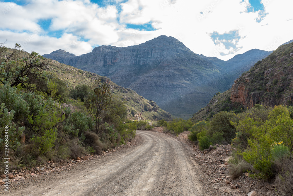 The Uitkyk Pass in the Cederberg Mountains