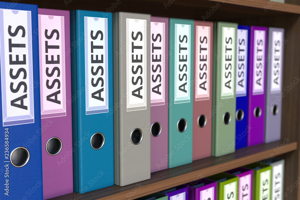 Office binders with ASSETS inscription. 3D rendering Office binders with ASSETS inscription. 3D rendering