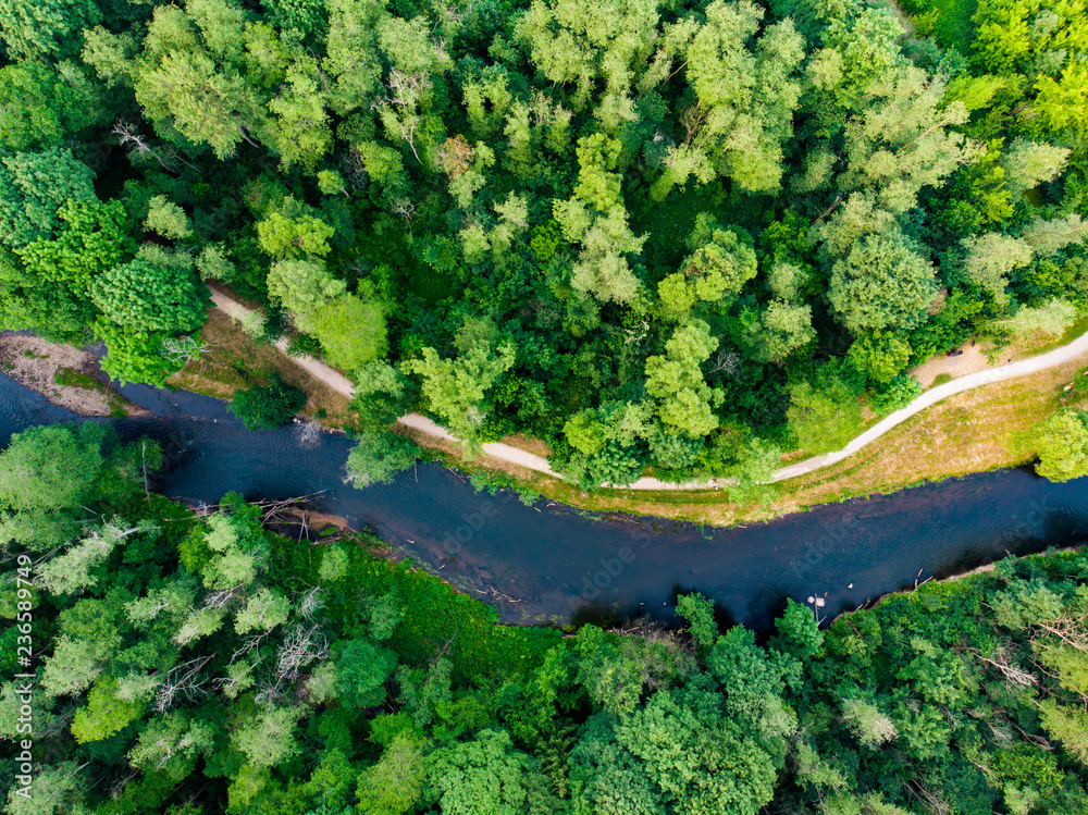 Aerial top down view of summer forest with Vilnele river winding among the trees. Aerial top down view of summer forest with Vilnele river winding among the trees.