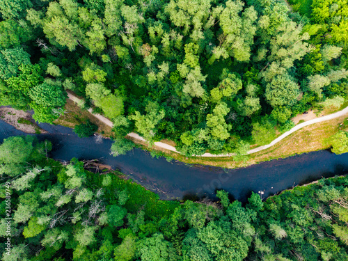 Aerial top down view of summer forest with Vilnele river winding among the trees.