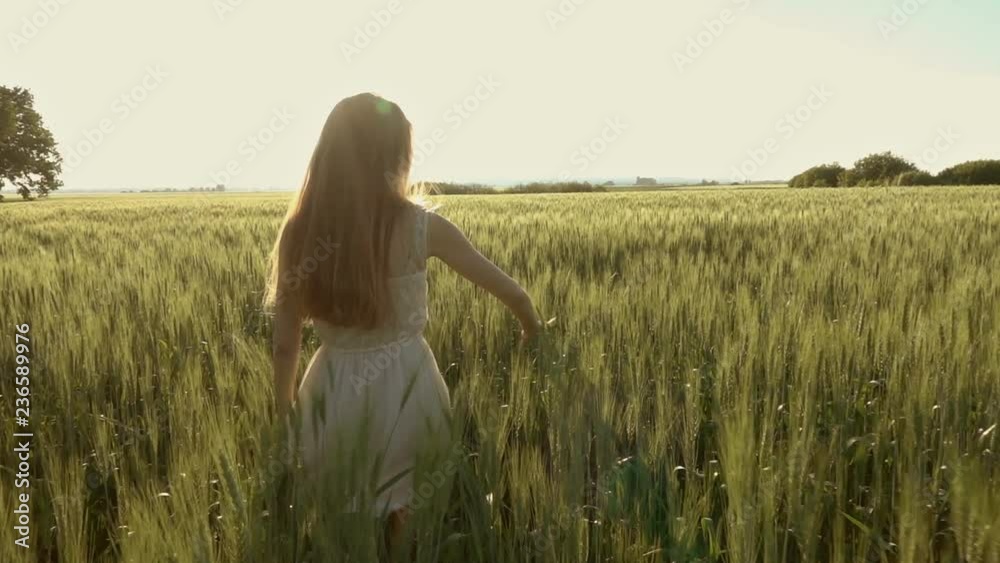 Beautiful girl walking in a wheat field at sunset, slow motion Beautiful girl walking in a wheat field at sunset, slow motion