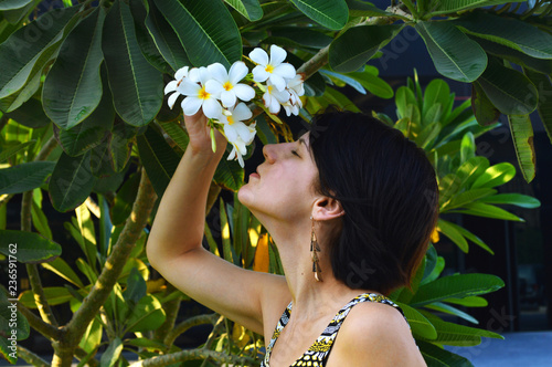 Flower Frangipani