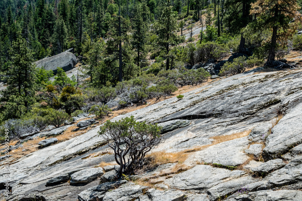 Scenic landscape of Yosemite Valley, California, USA Scenic landscape of Yosemite Valley, California, USA