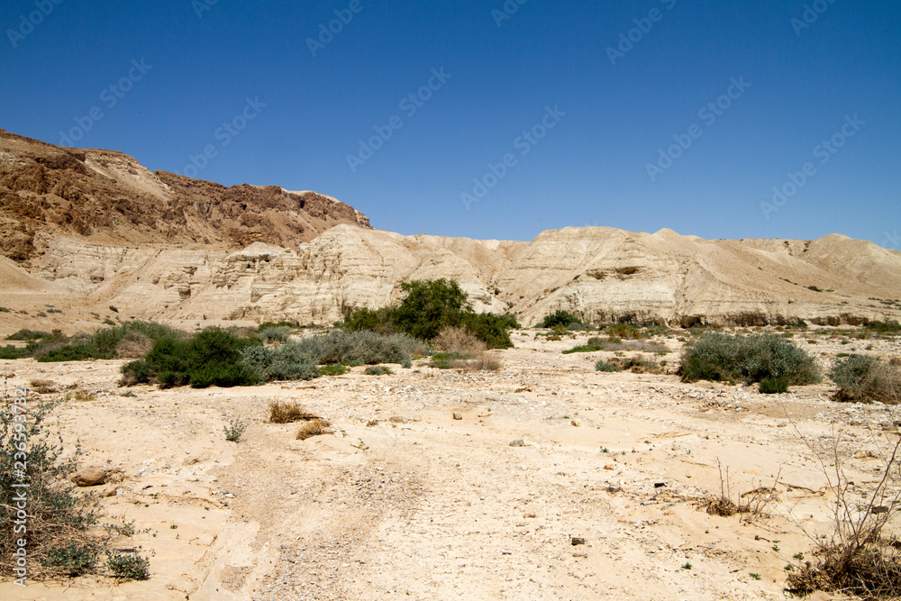 Mar Morto, Israele