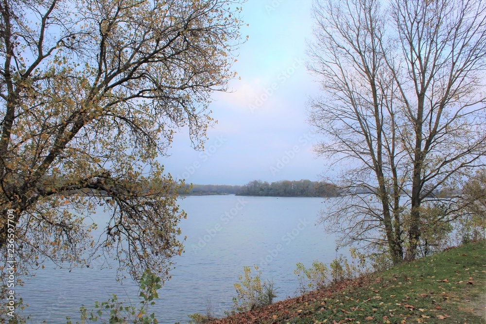 Obraz premium LAC DES EAUX BLEUES ET SES OISEAUX - MIRIBEL JONAGE - RHONE