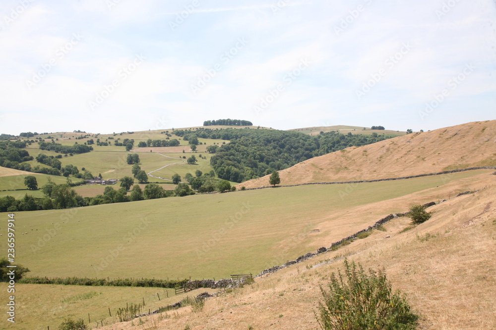 landscape in Yorkshire