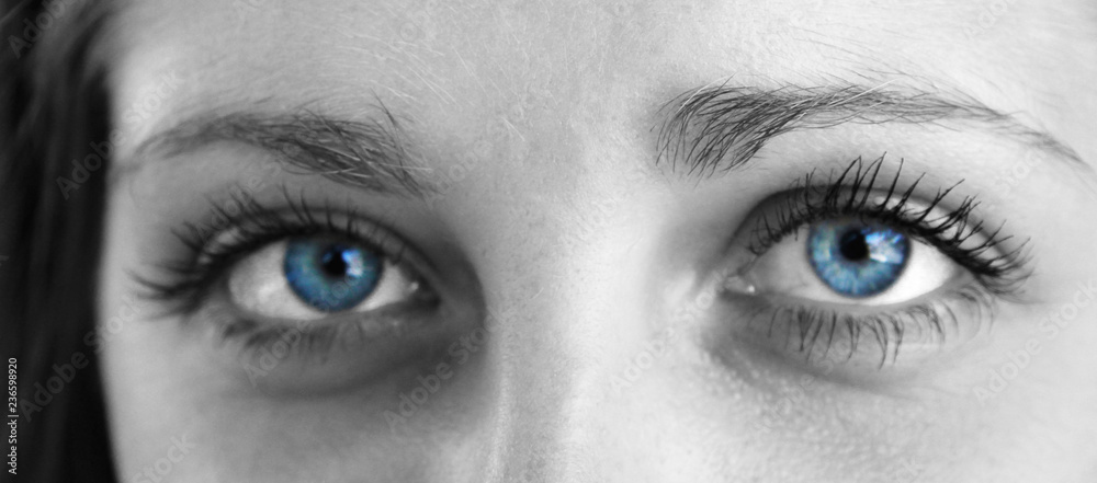 Beautiful human blue eyes macro Beautiful human blue eyes macro
