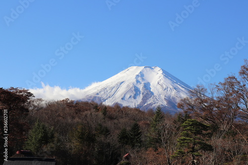 世界遺産・富士山の構成資産、忍野八海（出口池）