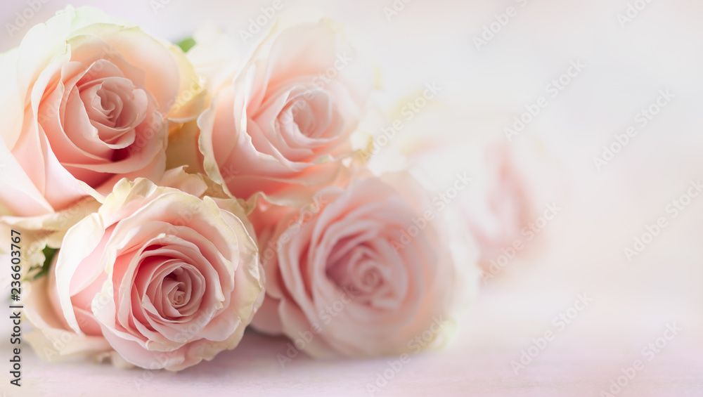 Fototapeta Kompozycja kwiatowa z różami.