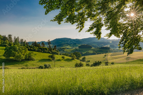 Blick auf das Gumpener Tal mit Sonnensternchen