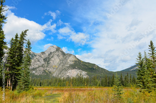 Canadian trees water and mountains nature 4