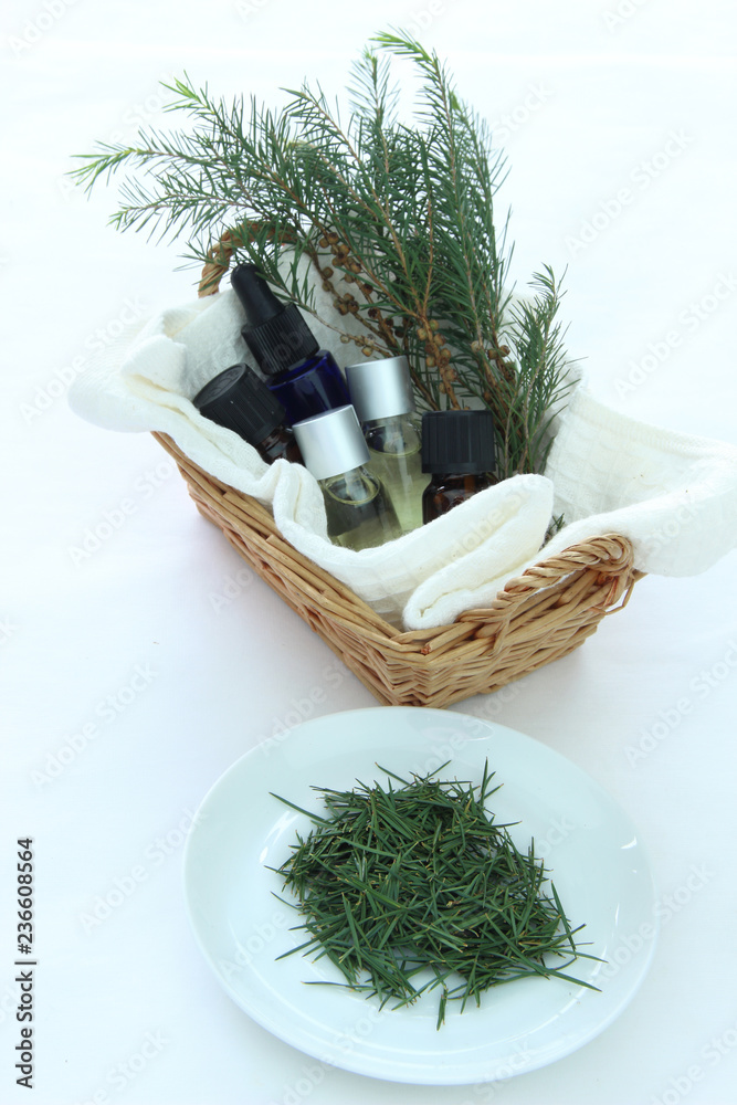 ティーツリーとたくさんのアロマオイル Stock Photo Adobe Stock