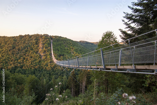 The longest rope bridge Geierlay in Germany reveals a unique view of the surrounding mountains.Photo taken July 2018 photo