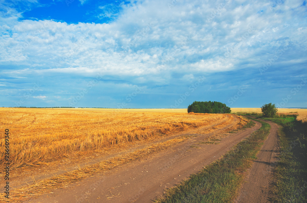 Sunny summer landscape with ground country road and empty rural field after harvesting. Sunny summer landscape with ground country road and empty rural field after harvesting.