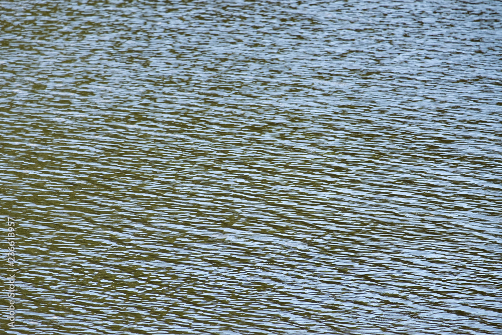 Fototapeta premium The water is patterned because the wind blows through.