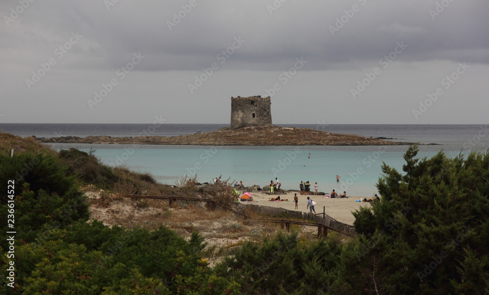 Sardegna, spiaggia de La Pelosa