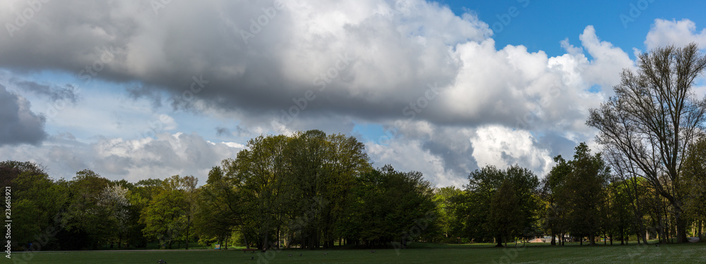 Obraz premium Landscape with field, trees and clouds