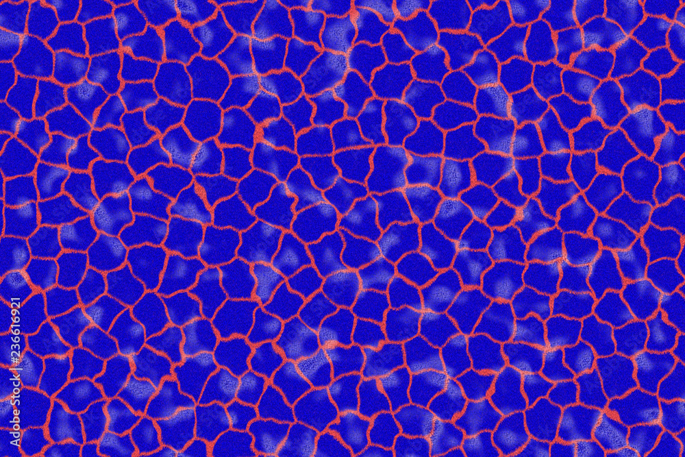 Obraz premium computer generated animal skins texture spots