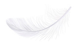 Feather, fluff, fuzz is a white vector, realistic 3d. Pooh, lightness, airiness.