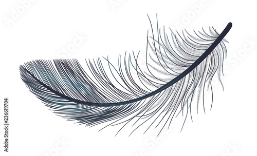 Feather, fluff, fuzz is a black vector, realistic 3d. Gothic.