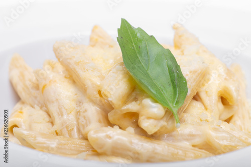 Pasta with cheese in creamy sauce. 