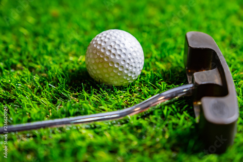 Slika na platnu Golf ball on grass