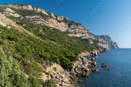 Fototapeta Naklejka Na Ścianę i Meble -  View of Cape Aya on the southern coast of Crimea