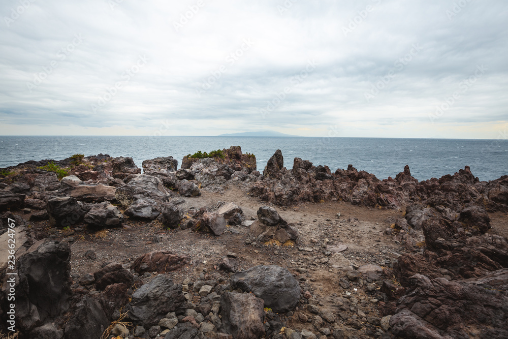 Fototapeta premium landscape in jogasaki coast japan