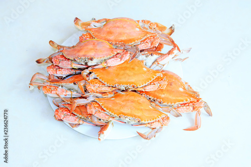 Cooked crab in the dish