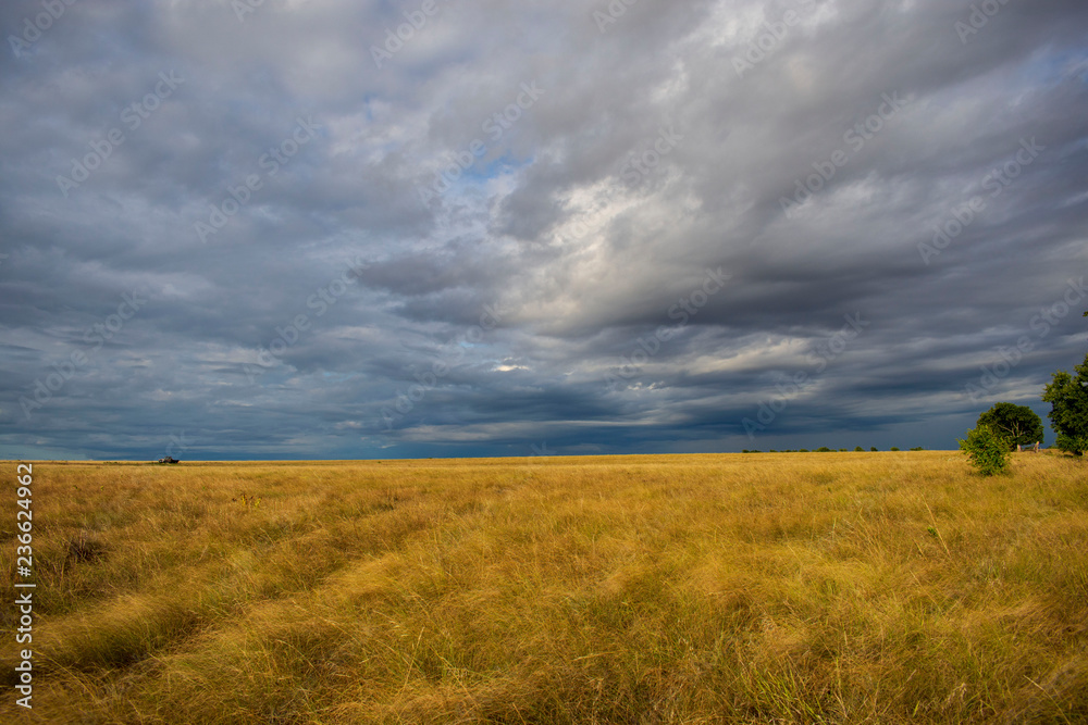 Prairie landscape