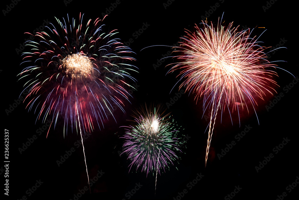 Fireworks with silhouettes beautiful holiday.New Year fireworks; Congratulations and celebrate the New Year. Fireworks with silhouettes beautiful holiday.New Year fireworks; Congratulations and celebrate the New Year.
