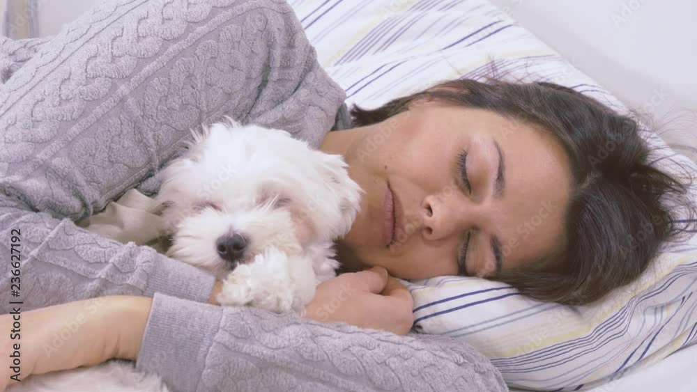 adorable little dog sleeping hugged with his owner adorable little dog sleeping hugged with his owner