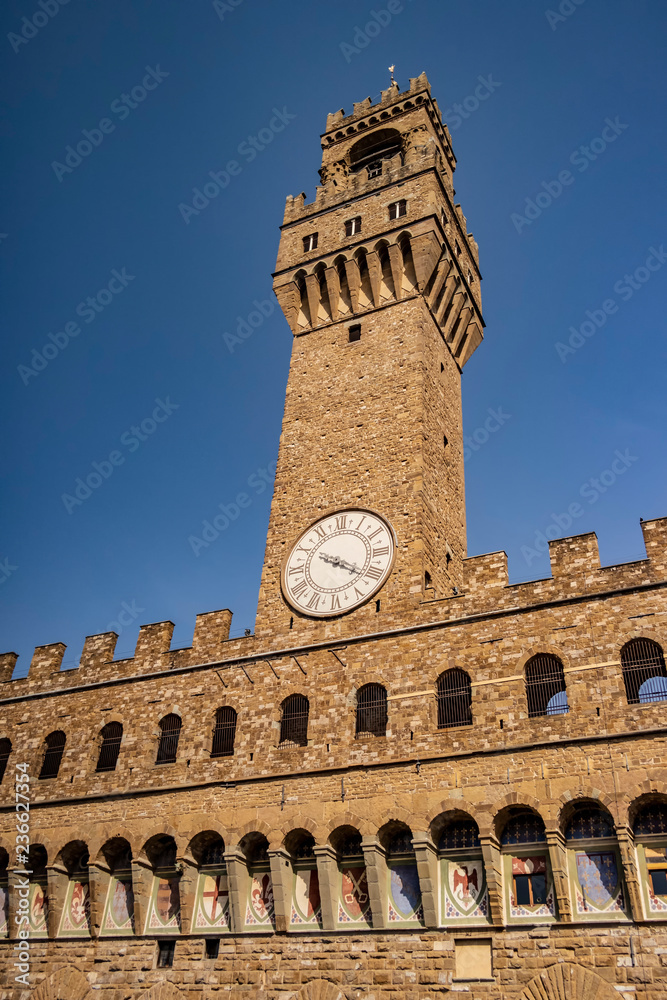 View on the Palazzo Vecchio in Florence, Tuscany - Italy