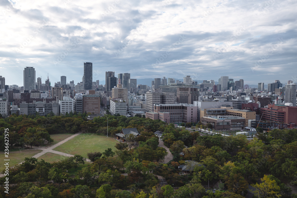 Fototapeta premium cityscape of the osaka japan