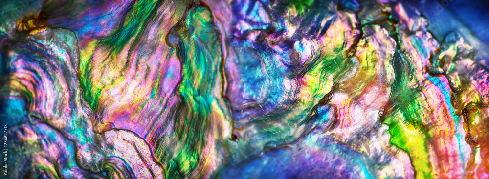 High magnification macro of nature texture pearl shell. Rainbow colors abstract background close-up.