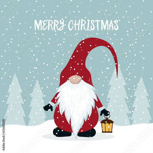 Christmas card with cute gnome
