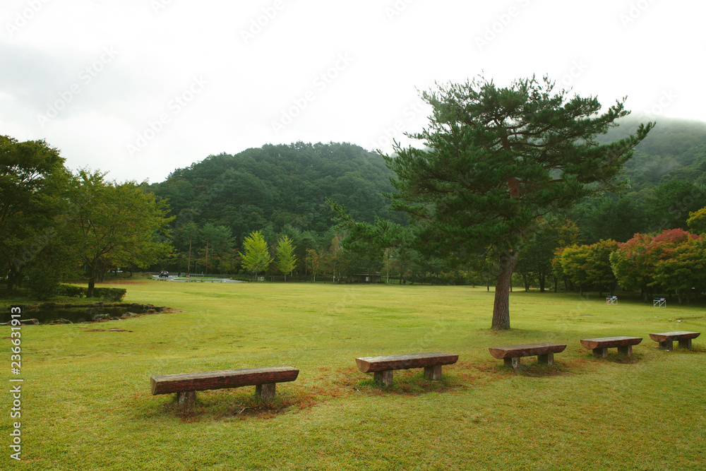 landscape in the yamanashi japan