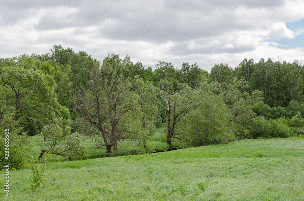 rural landscape