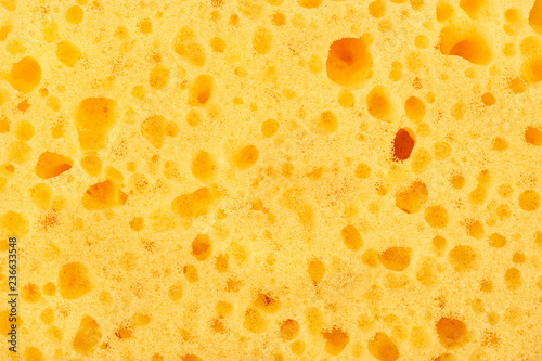 Yellow sponge closeup