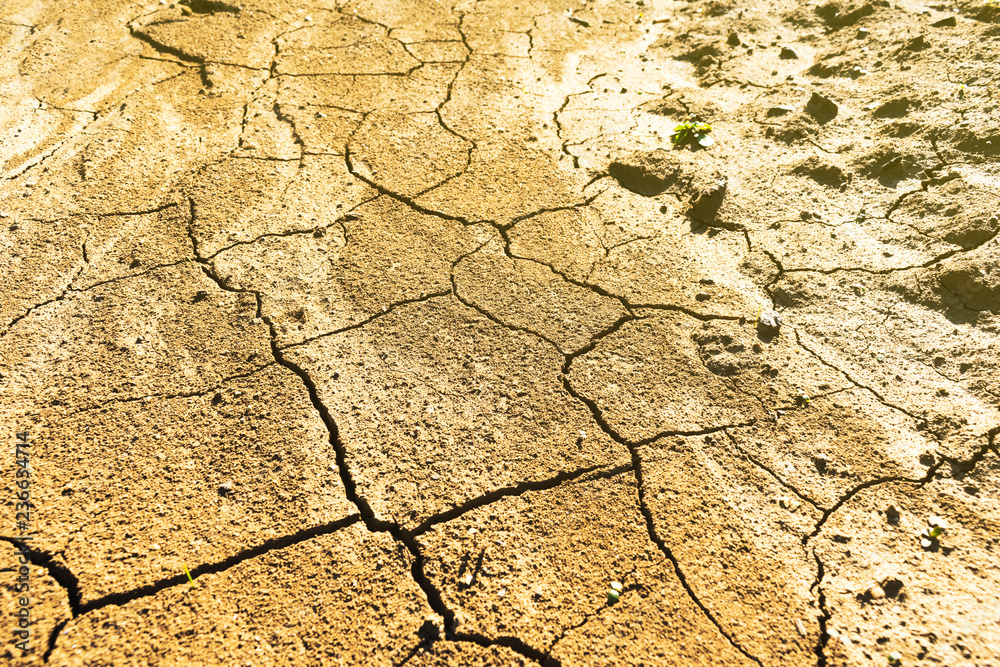 Fototapeta premium Completely dry land soil during hot summer and arid season in the central Europe
