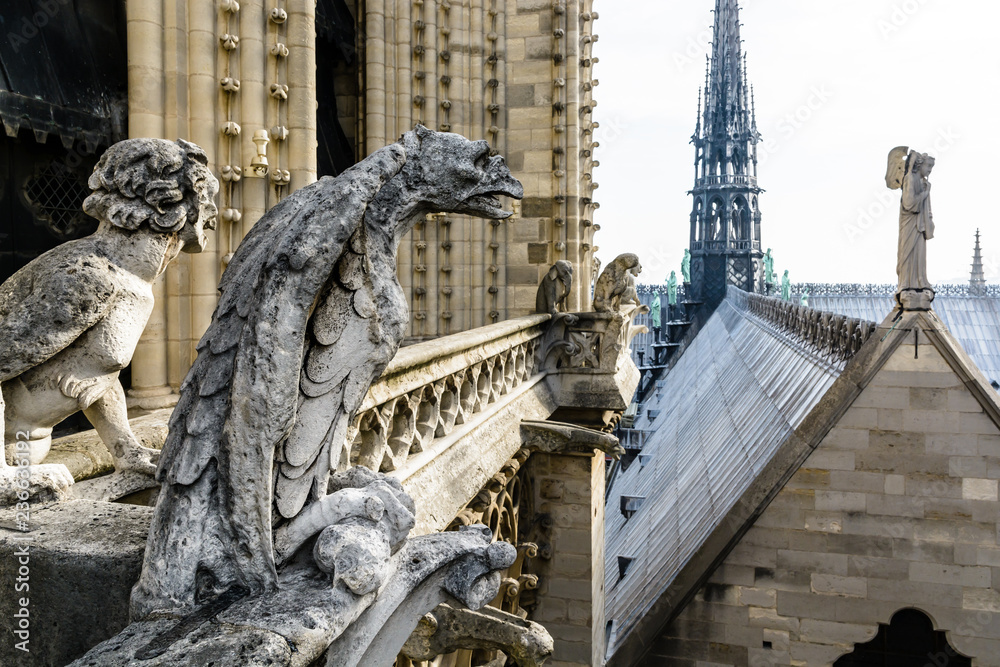 Stone statues of chimeras overlooking the rooftop and spire of Notre-Dame de Paris cathedral from the towers gallery. - obrazy, fototapety, plakaty 