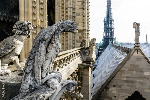 Stone statues of chimeras overlooking the rooftop and spire of Notre-Dame de Paris cathedral from the towers gallery.