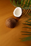 Creen palm branch and coconut