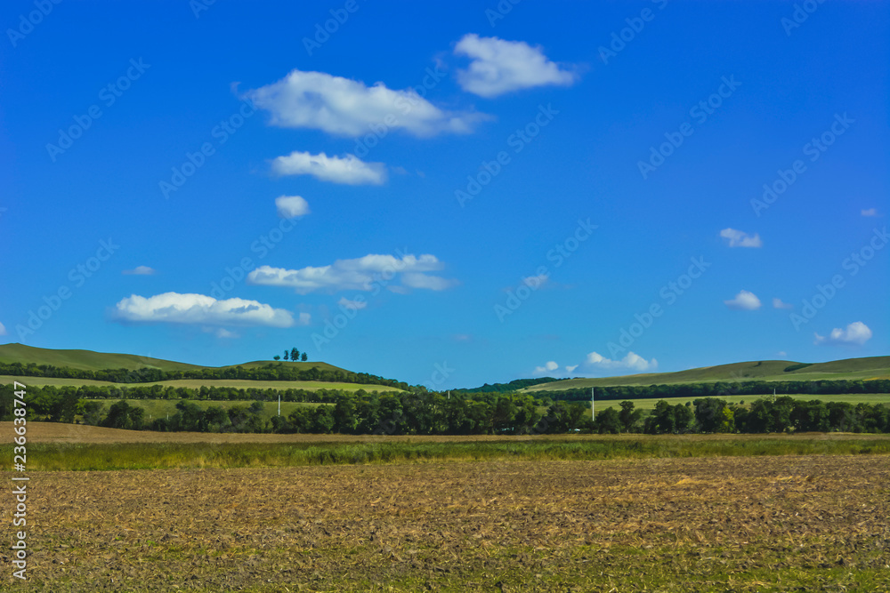 Fototapeta premium field and blue sky 2