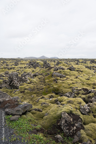 Lavafeld bei der „blauen Lagune“ (Bláa Lónið) - Island 