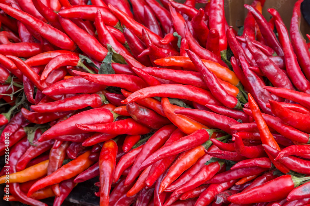 An Abundance of Red Chillies An Abundance of Red Chillies