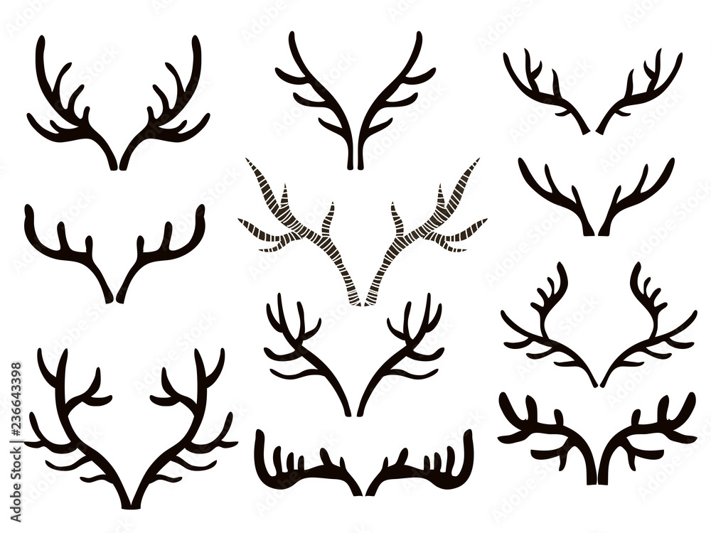 Fototapeta premium Set of horns