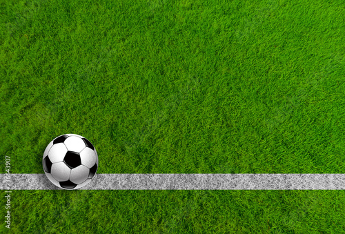 Piłka nożna na trawie jako panoramiczne tło