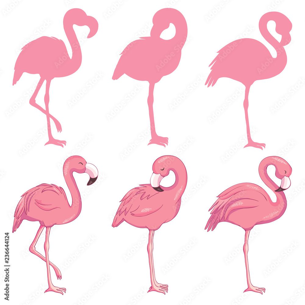 Fototapeta premium Flamingo illustration, flamingo set vector