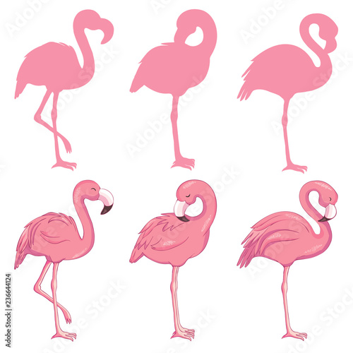 Flamingo illustration, flamingo set vector © Vladimir